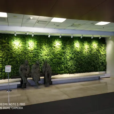 This is one of our signature indoor green walls, installed in a corporate lobby. The wall is spotlit to highlight the rich textures of the ferns and foliage, creating a sophisticated and calming first impression for visitors and employees.
