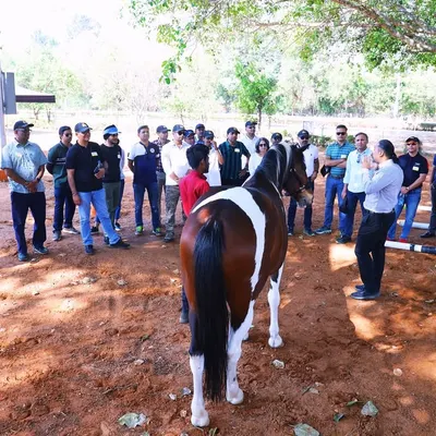 Senior partners from a top consulting firm participating in our transformative Horse Leadership Program. This unique experience uses equine wisdom to refine leadership, communication, and trust away from the boardroom.