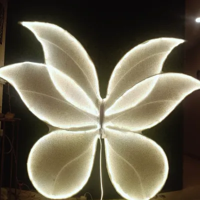 I have this beautiful large, light-up butterfly wing prop available. It makes a stunning photo backdrop for birthdays, bachelorette parties, or any celebration.