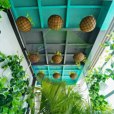 Looking up into a canopy of green. We used a mix of hanging baskets and climbing vines to create this immersive green corridor, transforming a simple walkway into a unique and refreshing experience.
