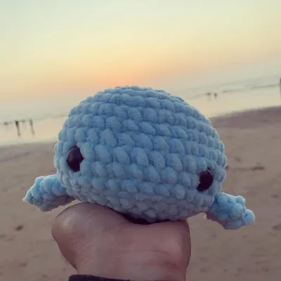 Here's another shot of my crochet whale plushie against the sunset. The simple, round design and soft blue yarn make it a really calming and cute companion.