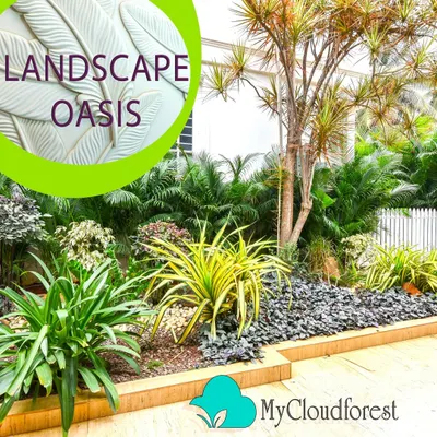 This is a close-up of a low-maintenance garden bed I designed using a mix of gravel, river stones, and drought-tolerant plants. The different colors and textures create a visually interesting and modern look.