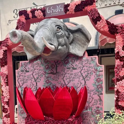 We love creating spectacular entrances that set the tone for an event. For a luxury jeweler's event, we designed this magnificent installation featuring a sculpted elephant head emerging from a wall of pink florals and a velvet lotus.