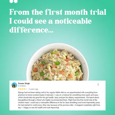 It’s amazing to see the transformation that real food can make in just one month. This review highlights some of the most common benefits our customers report: a noticeable improvement in fur, reduced shedding, and healthier digestion from day one.