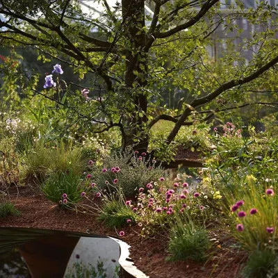 A close-up of a naturalistic planting scheme. We use a mix of grasses and flowering perennials to create a soft, meadow-like feel that supports local pollinators.