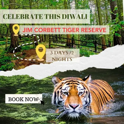 This promotional graphic details our special Diwali jungle survival course in the Jim Corbett Tiger Reserve. It highlights the 3-day, 2-night experience and the chance to see incredible wildlife like this tiger.