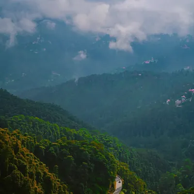 The serpentine roads of the Himalayas. This shot captures the moody, atmospheric conditions of a monsoon drive, with low-hanging clouds blanketing the lush green hills.