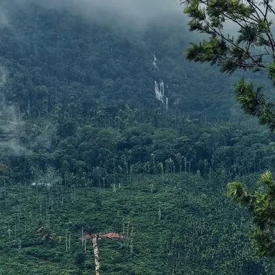 "Breathe in. You’re in Malenadu!" A classic view of the Western Ghats, with misty valleys and dense forests stretching as far as the eye can see.