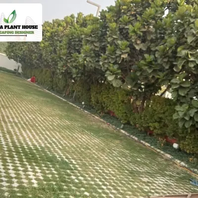 This image shows permeable grass pavers, an eco-friendly solution for driveways and paths. The grid allows grass to grow through, which helps with rainwater drainage while providing a durable, green surface.