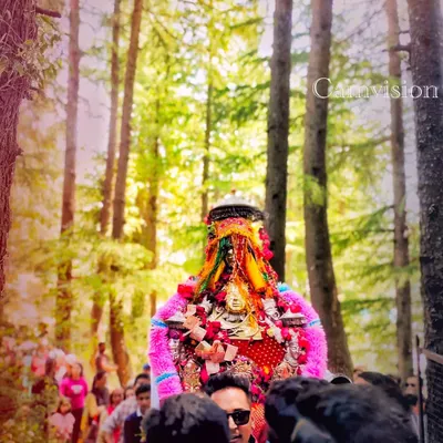 A shot from a Himachali religious procession, with the deity being carried through a forest of tall pine trees. I am experienced in covering local festivals and cultural events.