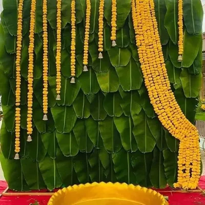 A unique and eco-friendly backdrop made from fresh banana leaves. The wall is decorated with hanging marigold strings, creating a beautiful and natural setting for a Haldi ceremony.