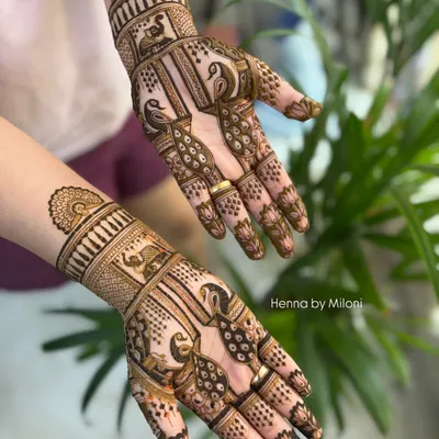 A beautiful example of Rajasthani style mehendi, featuring elegant peacocks and elephants within structured panels. Perfect for a bride or bridesmaid.
