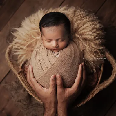 "Of all the things my hands have held, the best by far is you." This portrait, with the baby nestled in a basket and held by loving hands, symbolizes safety, warmth, and parental love.