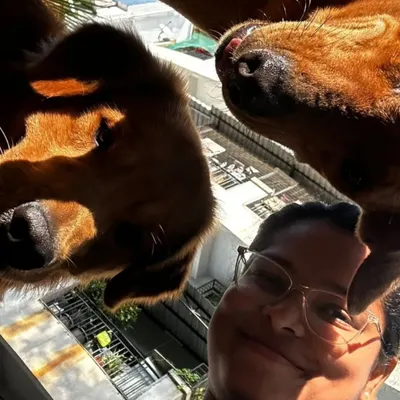 This is the best view. Getting a happy, goofy perspective from two furry friends is a reminder that my job is all about joy and trust. I ensure your dogs have fun and feel loved in every moment.