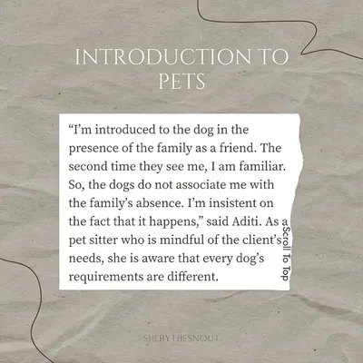 This article snippet highlights my non-negotiable meet-and-greet process. I insist on meeting the dog with their family first, so they see me as a friend and don't associate me with their family's absence.