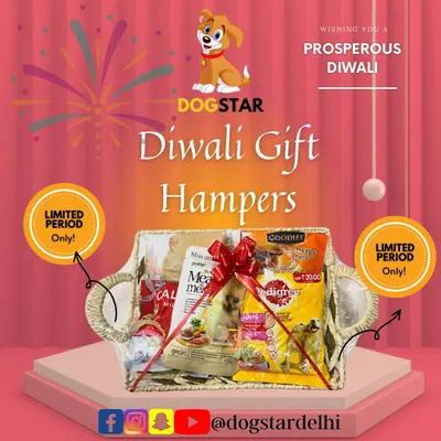 Make this Diwali a memorable one for your pet with my special gift hampers. They are packed with food and treats, making them the perfect festive gift for your furry family member.