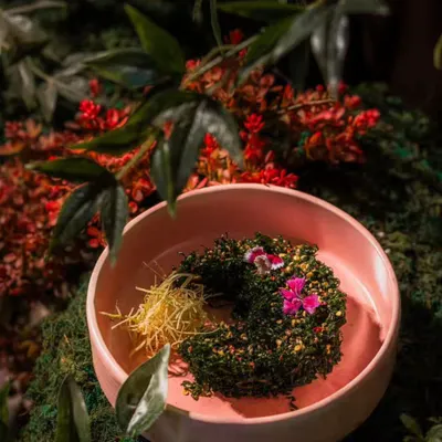 The green installations we create for restaurants often become part of the dining experience itself. Here, a beautifully plated dish is presented within the lush moss and foliage of the Zen garden, creating a memorable photo opportunity for patrons.
