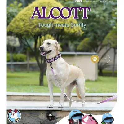 The Alcott adventure collection is where tough meets comfy. This poster showcases the stylish look of the gear on a happy Labrador, along with a peek at the retractable leash options available for different needs.