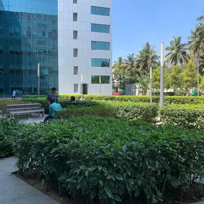 **Before:** A corporate space with a uniform, uninspired hedge planting. While green, it lacked the dynamism and biodiversity that makes a garden truly engaging.