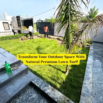 This image captures our team during a natural premium lawn turf installation. We are transforming an outdoor space by laying down fresh rolls of high-quality Mexican grass, ensuring a perfect fit and finish.
