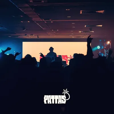 A silhouette shot from my 'Pattas' South Indian night, capturing the moment the beat drops. There's nothing like looking out and seeing a sea of hands in the air, completely lost in the music.
