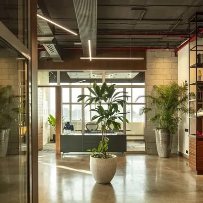 An open and inviting workspace for A91 Partners, a venture capital fund in Mumbai. We used glass partitions to maintain visual connectivity, while large potted plants and warm wood tones create a comfortable and natural-feeling work environment.