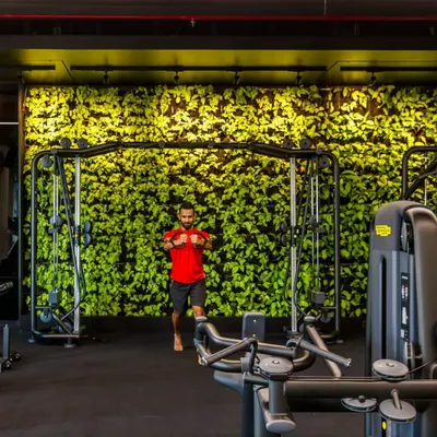 We believe in supporting both physical and mental health through design. This indoor green wall in a gym creates a calming, oxygen-rich environment that helps reduce stress and allows members to connect with nature while they work out.