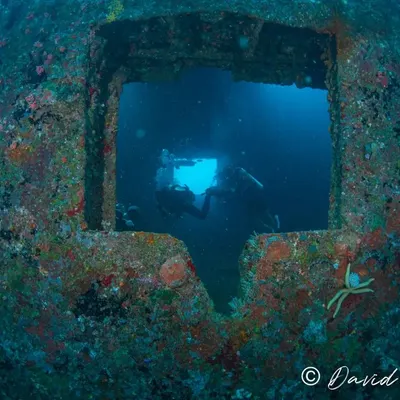 This stunning shot captures the scale and mystery of wreck diving. A diver is silhouetted in a large opening of a sunken vessel, which has become encrusted with vibrant marine life over the years. This is the kind of breathtaking view that awaits certified wreck divers.