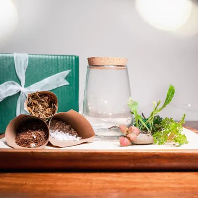 This is what comes in my DIY Terrarium Kit. You get the glass jar, all the necessary layers like soil and moss, and a selection of beautiful, healthy plants to create your own design.