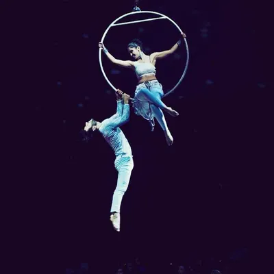 A breathtaking aerial hoop performance captured in front of a live audience. This shot showcases the artistry, strength, and grace that you can achieve through aerial arts.