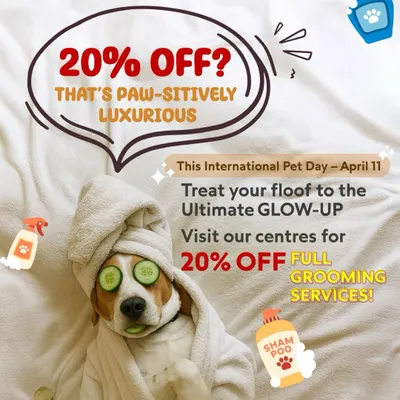 Your pet deserves a glow-up. This graphic announces our International Pet Day special, offering 20% off full grooming services. It's the perfect excuse to treat your best friend to a luxurious spa day.