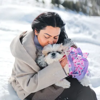 A moment of pure love and comfort, as a dog mom kisses her adorable Shih Tzu baby in the snow.