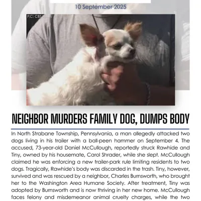 In Pennsylvania, a man allegedly murdered his housemate's family dog with a ball-peen hammer over a trailer-park rule. This act of violence in the name of control is a chilling example of animal cruelty.