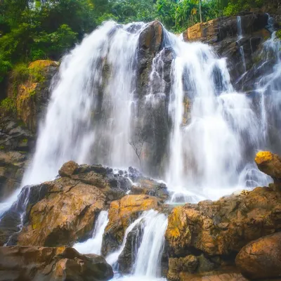 The sheer force of Shirley Falls in the heart of Uttara Kannada, captured in a way that shows both its power and its intricate details. Using a specific shutter speed, I was able to retain the texture of the water as it cascades over the multi-tiered rocks, creating a dynamic yet artistic impression.