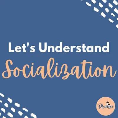 Let's talk about what socialization really is! It's not just about playdates. It's a crucial process for teaching your puppy essential life skills so they grow into a confident and comfortable adult.