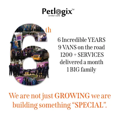 Celebrating 6 incredible years. With 9 vans on the road and over 1200 services a month, we are not just growing, we are building something special.