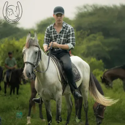 A rider looking confident and relaxed on his white horse. Our trail rides are suitable for all skill levels, and we ensure every guest feels comfortable and in control.