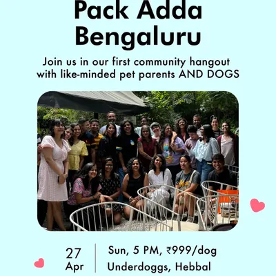 An invitation to our first community hangout in Bengaluru. We hosted this 'Pack Adda' at Underdoggs, Hebbal, for like-minded pet parents and their dogs to connect and share stories.