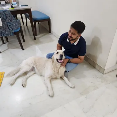 Here I am sharing a moment with Barfi the Golden Retriever. Building a positive, happy relationship with the dogs I train is just as important as the obedience work. A happy dog is an eager student.