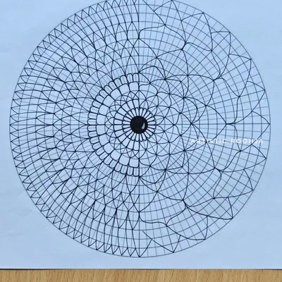 This is the kind of intricate grid you'll learn to create from scratch. A perfect grid is the secret to a symmetrical and beautiful mandala, and I break down the process into simple steps.
