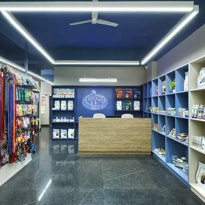 The reception and retail area of the R S Veterinary Clinic. I used a calming blue and natural wood palette, with extensive open shelving for products and a prominent logo to reinforce the brand's identity.