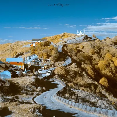 An infrared photo from Singalila National Park. Because human eyes cannot see infrared light, this technique reveals a world that looks very different, turning green leaves into golden yellow.