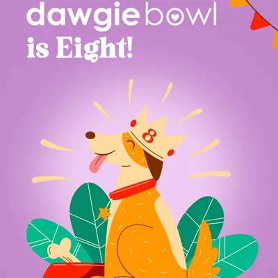 Cheers to 8 amazing years! 🐾 From my first bowl to thousands of happy pups across India, it has been an incredible journey. I am so grateful for your love and support, and I look forward to many more years of tail wags and healthy meals.