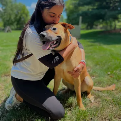 This is me with Doug, my student dog when I traveled to the USA to become an internationally Certified Professional Dog Trainer. He was my home away from home and a huge part of my journey.