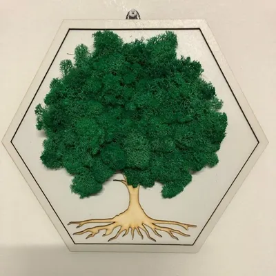 Our Evergreen Moss art featuring a tree design in a white hexagonal frame. The lush green moss forms the canopy of the tree, creating a stunning 3D effect.