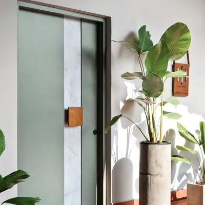 The entrance to this office was designed to be a serene transition space. The soothing green door features a stone laminate inlay and a solid teakwood handle, creating a simple yet elegant statement. The surrounding plants and soft gray wall add to the calm, welcoming ambiance.