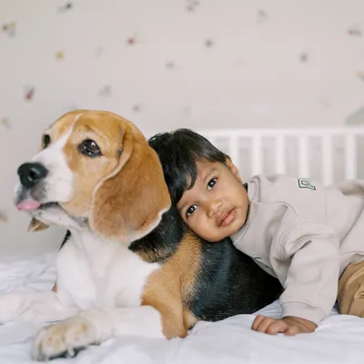 The bond between a boy and his dog is something truly special. This quiet cuddle on the bed is one of my favorite shots, showing a friendship that is pure and unconditional.