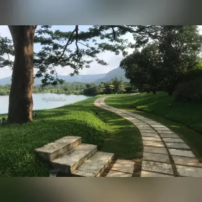 This winding stone pathway follows the gentle curve of a grassy slope alongside a lake. A large, mature tree provides a natural canopy, creating dappled light and a perfect spot to enjoy the tranquil water view.