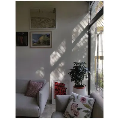 The morning sun casts dramatic shadows across the living room wall, interacting with the art and furniture. I design spaces to embrace the changing patterns of natural light throughout the day.
