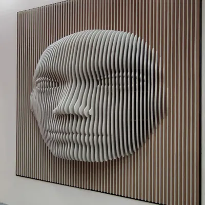 This artistic 3D face sculpture is made from precisely cut MDF panels. It's an example of the custom decorative paneling work I do, which adds a unique visual focus to any space.